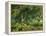 Wooded Meadow-Atelier Sommerland-Framed Stretched Canvas