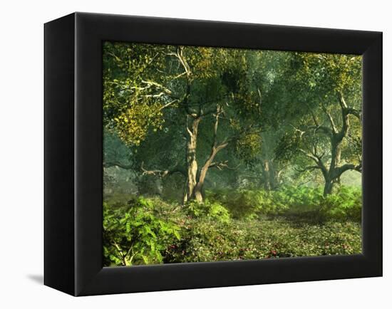 Wooded Meadow-Atelier Sommerland-Framed Stretched Canvas
