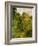 Wooded Path, 1865-Claude Monet-Framed Giclee Print