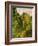 Wooded Path, 1865-Claude Monet-Framed Giclee Print