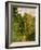 Wooded Path, 1865-Claude Monet-Framed Giclee Print