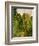 Wooded Path, 1865-Claude Monet-Framed Giclee Print