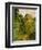 Wooded Path, 1865-Claude Monet-Framed Giclee Print