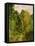 Wooded Path, 1865-Claude Monet-Framed Premier Image Canvas