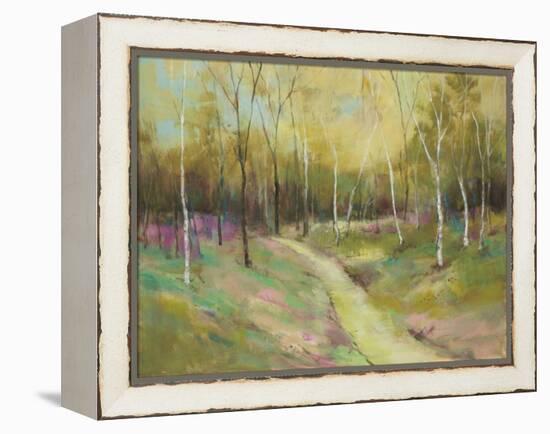 Wooded Pathway II-Julie Joy-Framed Stretched Canvas