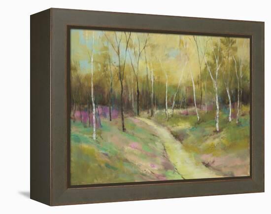 Wooded Pathway II-Julie Joy-Framed Stretched Canvas