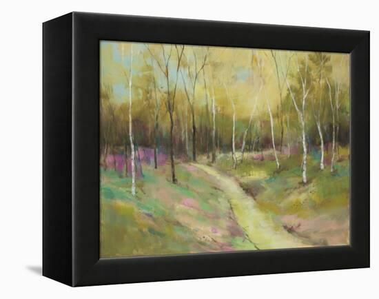 Wooded Pathway II-Julie Joy-Framed Stretched Canvas