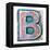 Wooden Alphabet Block, Letter B-donatas1205-Framed Stretched Canvas