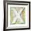 Wooden Alphabet Block, Letter X-donatas1205-Framed Art Print