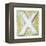 Wooden Alphabet Block, Letter X-donatas1205-Framed Stretched Canvas