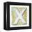 Wooden Alphabet Block, Letter X-donatas1205-Framed Stretched Canvas