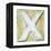 Wooden Alphabet Block, Letter X-donatas1205-Framed Stretched Canvas