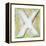 Wooden Alphabet Block, Letter X-donatas1205-Framed Stretched Canvas