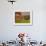 Wooden Barn and Old Stone Building in Rural New England, Maine, USA-Joanne Wells-Framed Photographic Print displayed on a wall