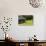 Wooden Barn, Mountain Farm Museum, Great Smoky Mountains National Park, North Carolina, USA-null-Photographic Print displayed on a wall