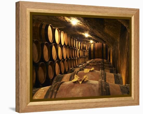 Wooden Barrels with Aging Wine in Cellar, Domaine E Guigal, Ampuis, Cote Rotie, Rhone, France-Per Karlsson-Framed Premier Image Canvas