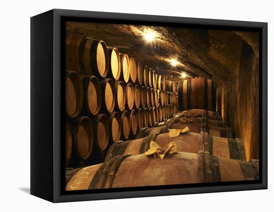 Wooden Barrels with Aging Wine in Cellar, Domaine E Guigal, Ampuis, Cote Rotie, Rhone, France-Per Karlsson-Framed Premier Image Canvas