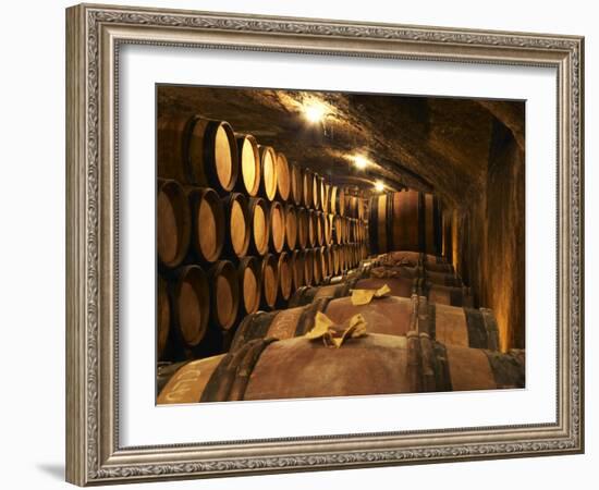 Wooden Barrels with Aging Wine in Cellar, Domaine E Guigal, Ampuis, Cote Rotie, Rhone, France-Per Karlsson-Framed Photographic Print