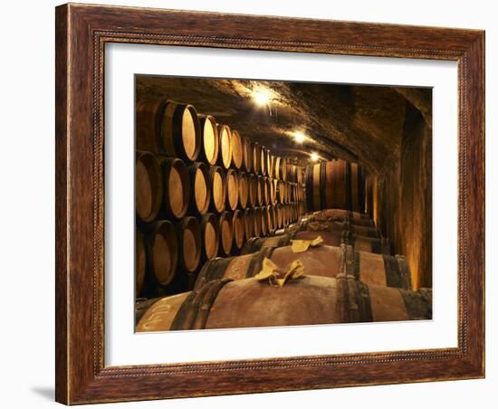 Wooden Barrels with Aging Wine in Cellar, Domaine E Guigal, Ampuis, Cote Rotie, Rhone, France-Per Karlsson-Framed Photographic Print