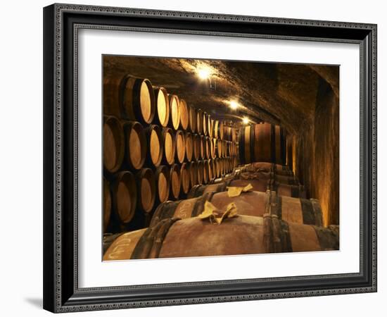 Wooden Barrels with Aging Wine in Cellar, Domaine E Guigal, Ampuis, Cote Rotie, Rhone, France-Per Karlsson-Framed Photographic Print