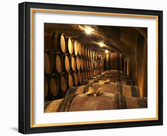 Wooden Barrels with Aging Wine in Cellar, Domaine E Guigal, Ampuis, Cote Rotie, Rhone, France-Per Karlsson-Framed Photographic Print