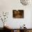 Wooden Barrels with Aging Wine in Cellar, Domaine E Guigal, Ampuis, Cote Rotie, Rhone, France-Per Karlsson-Photographic Print displayed on a wall