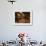 Wooden Barrels with Aging Wine in Cellar, Domaine E Guigal, Ampuis, Cote Rotie, Rhone, France-Per Karlsson-Framed Photographic Print displayed on a wall