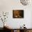 Wooden Barrels with Aging Wine in the Cellar, Domaine E Guigal, Ampuis, Cote Rotie, Rhone, France-Per Karlsson-Photographic Print displayed on a wall