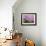 Wooden Bench under Cherry Blossom Tree in Winterthur Gardens, Wilmington, Delaware, Usa-Jay O'brien-Framed Photographic Print displayed on a wall