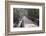 Wooden Boardwalk over Swamps in the UNESCO World Heritage Site Sundarbans, Bangladesh, Asia-Michael Runkel-Framed Photographic Print