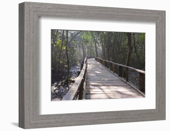 Wooden Boardwalk over Swamps in the UNESCO World Heritage Site Sundarbans, Bangladesh, Asia-Michael Runkel-Framed Photographic Print