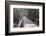 Wooden Boardwalk over Swamps in the UNESCO World Heritage Site Sundarbans, Bangladesh, Asia-Michael Runkel-Framed Photographic Print