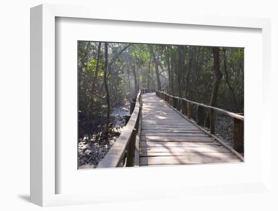 Wooden Boardwalk over Swamps in the UNESCO World Heritage Site Sundarbans, Bangladesh, Asia-Michael Runkel-Framed Photographic Print