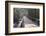 Wooden Boardwalk over Swamps in the UNESCO World Heritage Site Sundarbans, Bangladesh, Asia-Michael Runkel-Framed Photographic Print