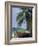 Wooden Boat Beneath Palm Trees on Beach, off the Island of Phuket, Thailand-Ruth Tomlinson-Framed Photographic Print