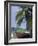 Wooden Boat Beneath Palm Trees on Beach, off the Island of Phuket, Thailand-Ruth Tomlinson-Framed Photographic Print