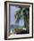 Wooden Boat Beneath Palm Trees on Beach, off the Island of Phuket, Thailand-Ruth Tomlinson-Framed Photographic Print