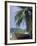 Wooden Boat Beneath Palm Trees on Beach, off the Island of Phuket, Thailand-Ruth Tomlinson-Framed Photographic Print