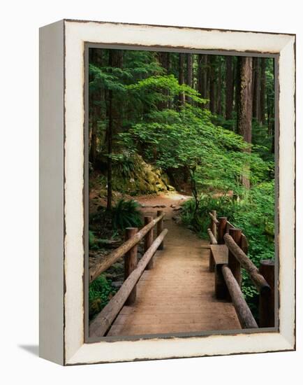 Wooden Bridge Along Sol Duc Falls Trail-James Randklev-Framed Premier Image Canvas