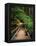 Wooden Bridge Along Sol Duc Falls Trail-James Randklev-Framed Premier Image Canvas