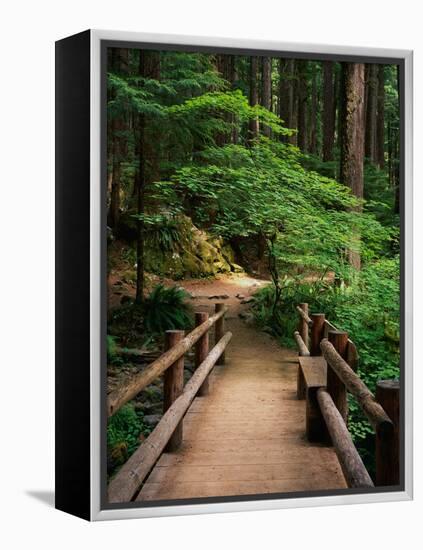 Wooden Bridge Along Sol Duc Falls Trail-James Randklev-Framed Premier Image Canvas