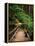 Wooden Bridge Along Sol Duc Falls Trail-James Randklev-Framed Premier Image Canvas