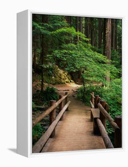 Wooden Bridge Along Sol Duc Falls Trail-James Randklev-Framed Premier Image Canvas