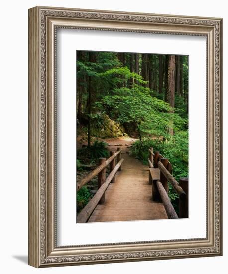 Wooden Bridge Along Sol Duc Falls Trail-James Randklev-Framed Photographic Print