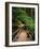 Wooden Bridge Along Sol Duc Falls Trail-James Randklev-Framed Photographic Print