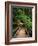 Wooden Bridge Along Sol Duc Falls Trail-James Randklev-Framed Photographic Print