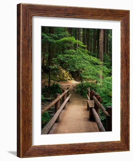 Wooden Bridge Along Sol Duc Falls Trail-James Randklev-Framed Photographic Print