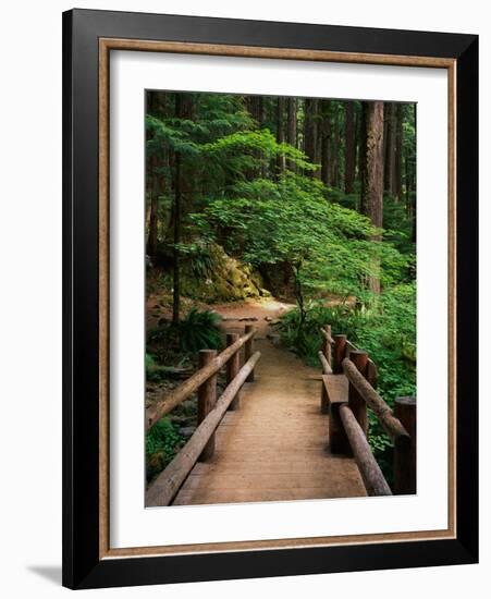 Wooden Bridge Along Sol Duc Falls Trail-James Randklev-Framed Photographic Print