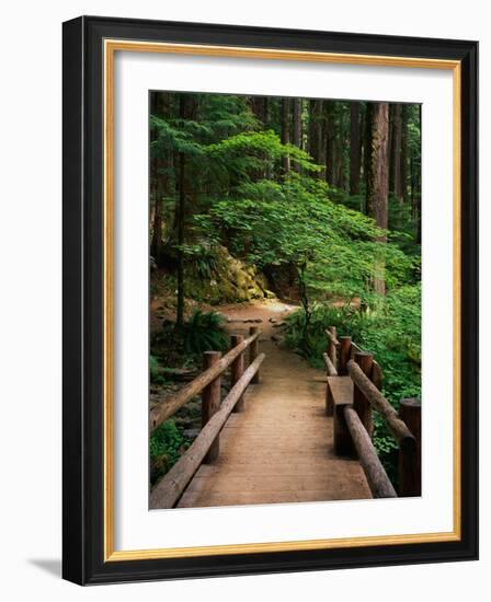 Wooden Bridge Along Sol Duc Falls Trail-James Randklev-Framed Photographic Print