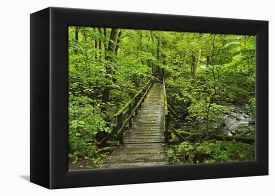 Wooden Bridge, Holzbachtal, Westerwald, Rhineland-Palatinate, Germany, Europe-Jochen Schlenker-Framed Premier Image Canvas